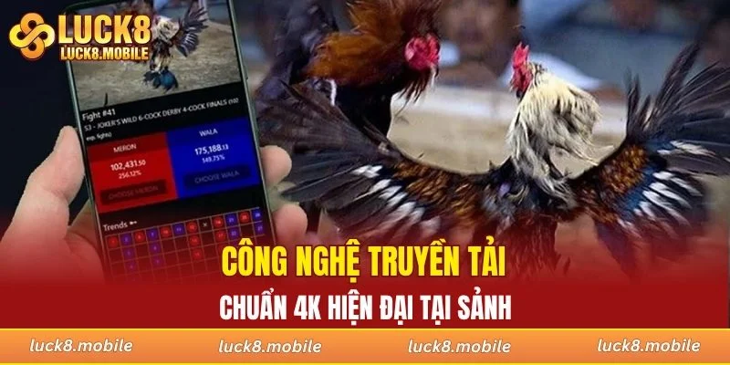Công nghệ truyền tải chuẩn 4K hiện đại tại sảnh