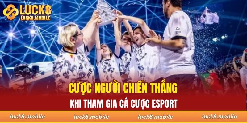 Cược người chiến thắng khi tham gia cá cược esport